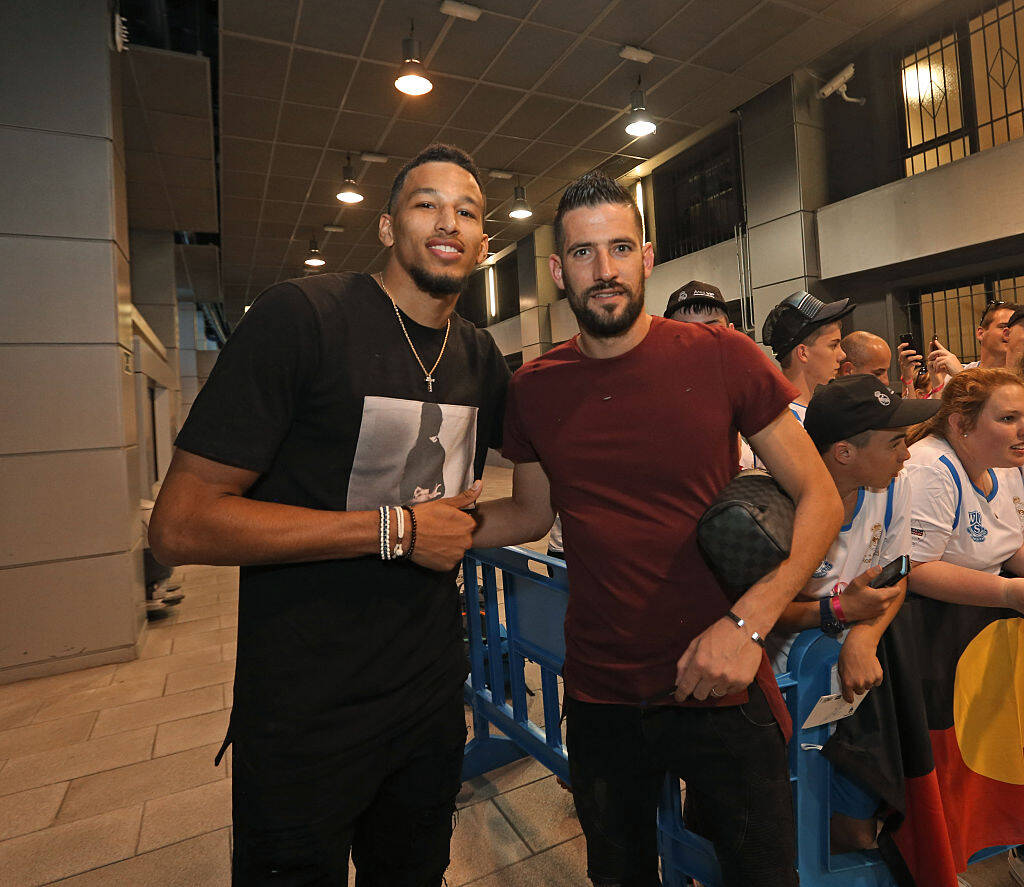 后的三角草 后的三角草