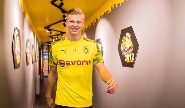 硬性止损 硬性止损